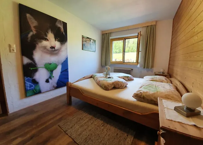 Stillerhof إنسبروك